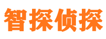 彭山侦探公司